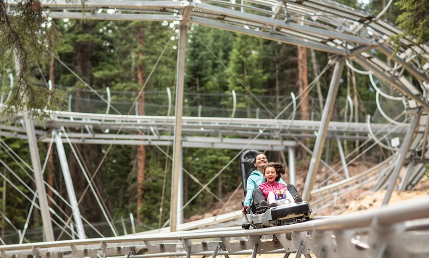 Image 5: Blue Ridge Mountain Coaster Tickets  For Up to 4 People or Rides!