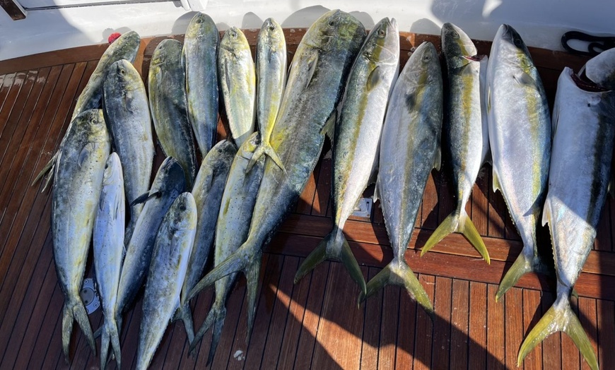 Image 2: Deep Sea Fishing Trip on a Sport Yacht – San Diego Coast