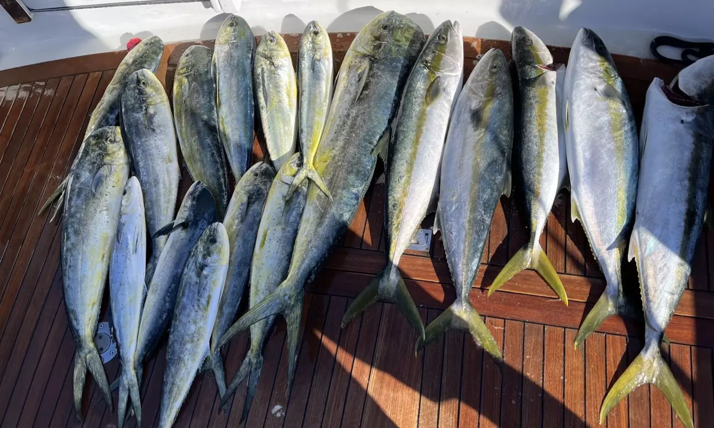 Deep Sea Fishing Trip on a Sport Yacht – San Diego Coast