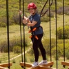 Image 2: 4-Story Aerial Trekking Course at Colorado's Largest Adventure Park