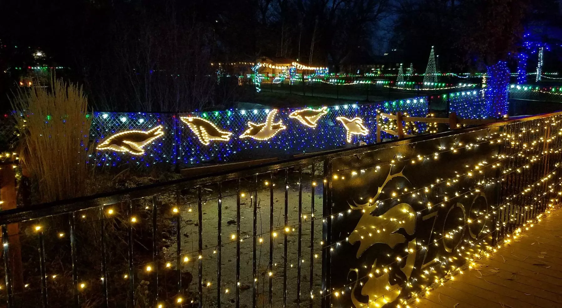 Zoo Lights Holiday Wonderland at Zootah