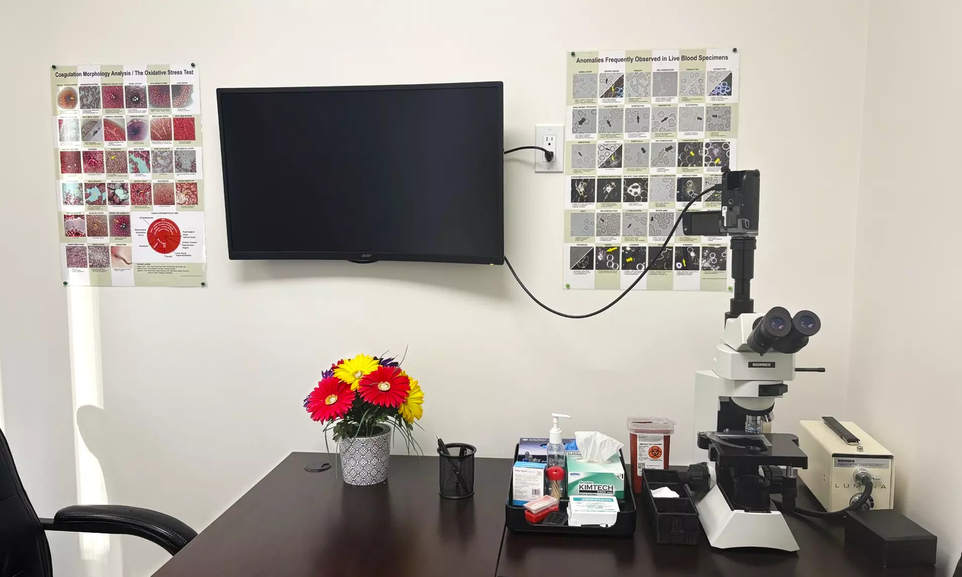 Live Blood Analysis with Diet Management for Personal Health Insights
