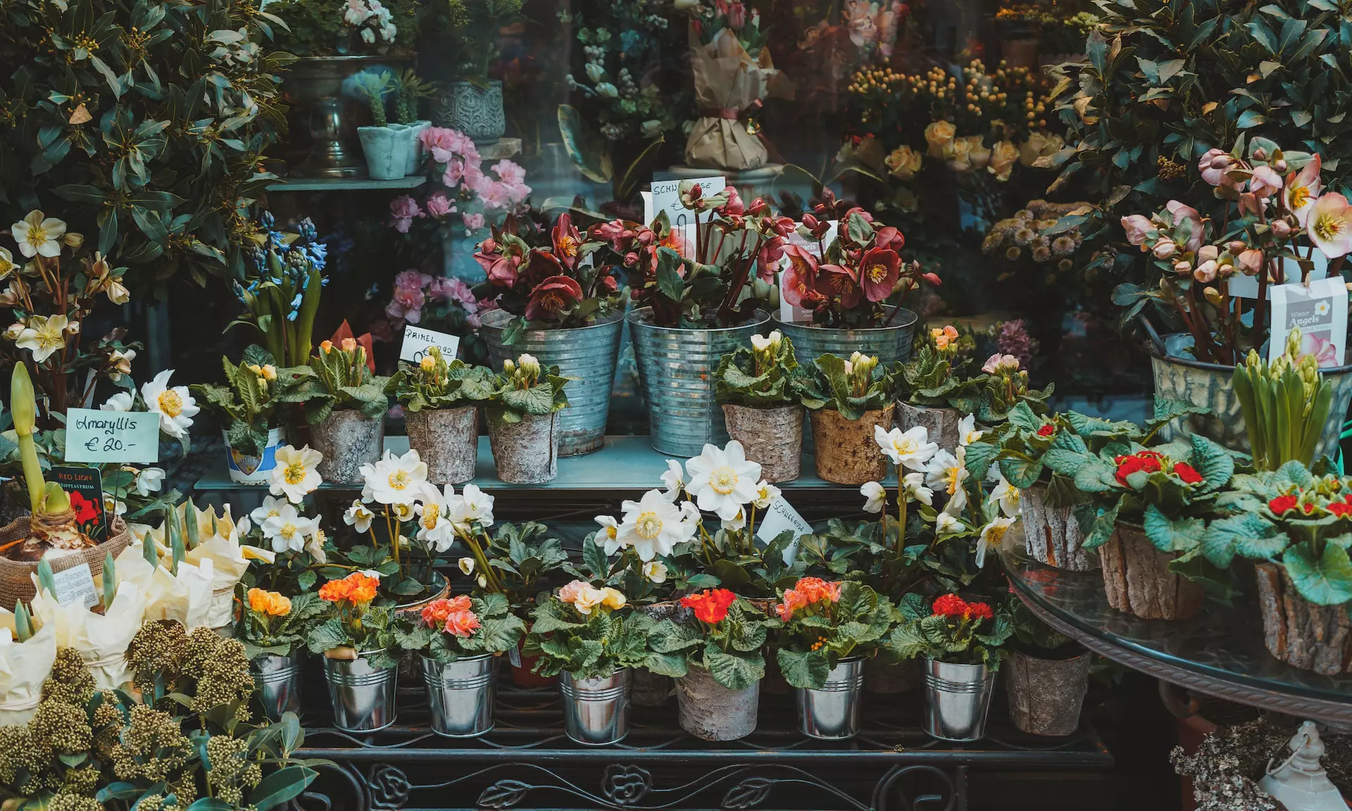 ✈ Vienna 4*: Volo diretto più 2 o 3 notti in hotel