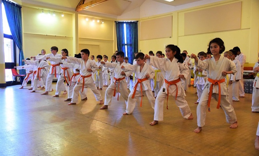 Image 5: Three-Month Karate Trainings