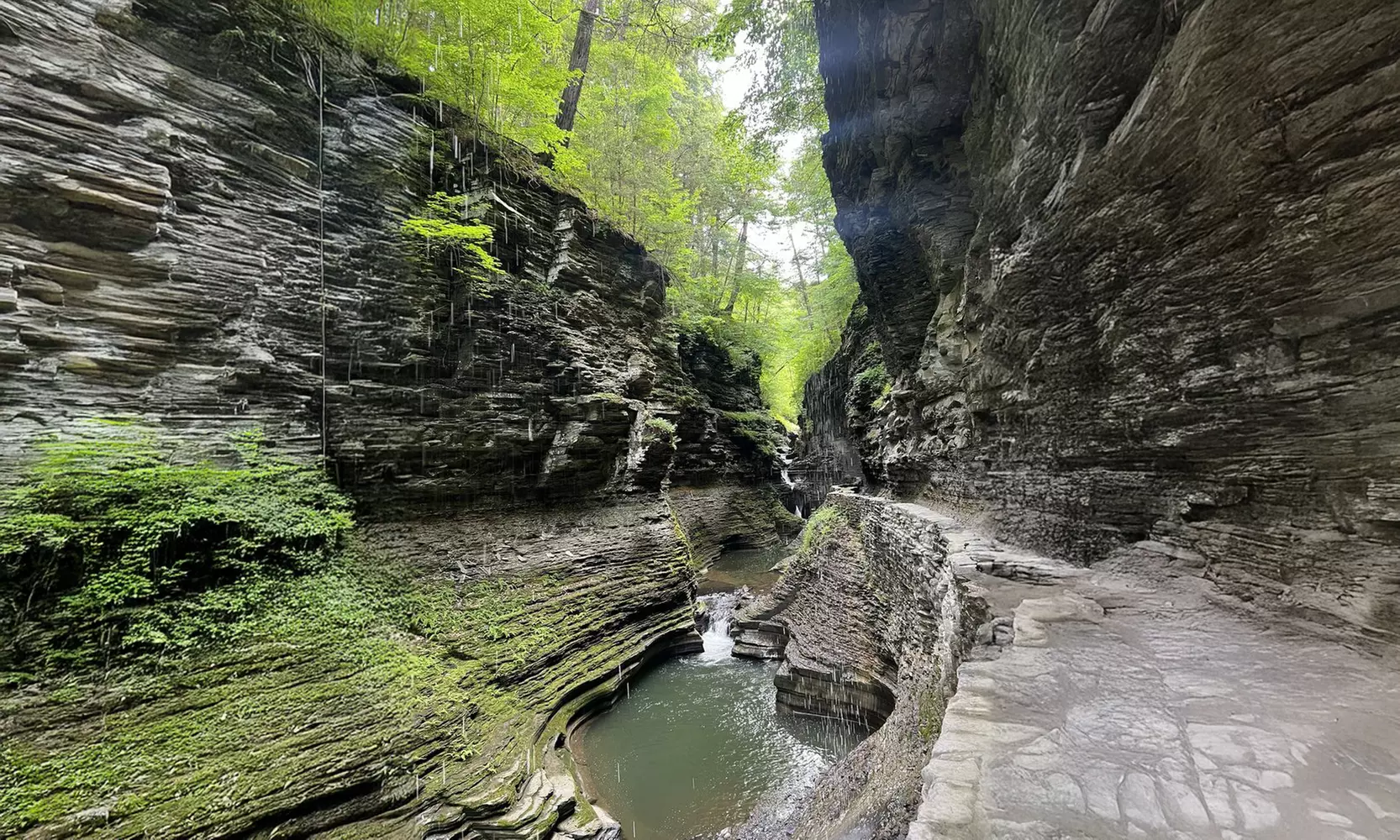 Niagara Falls Adventure Transportation Only or Tour with Extra Fees