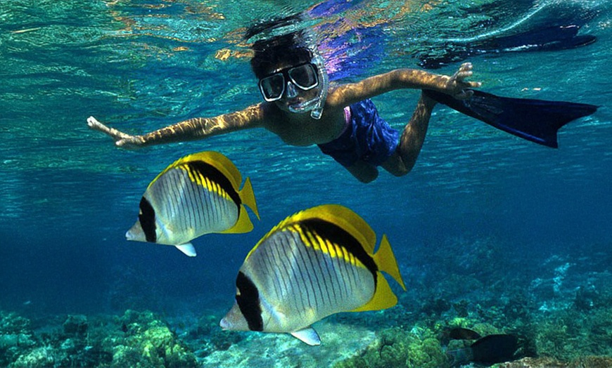 Image 4: Bautismo de esnórquel desde la playa para 1 o 2 personas 