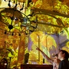 Image 2: Expérience immersive Van Gogh & Rembrandt : un voyage lumineux 