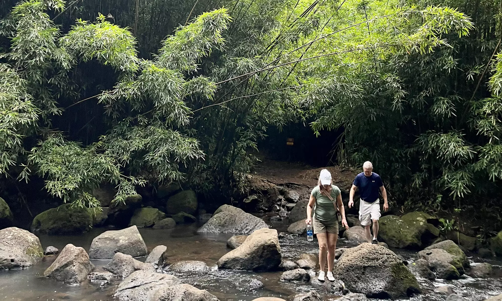 Private Oahu Coastal Scenic Tour + Hidden Gems for 1, 2, or 4 Guests