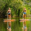 Image 9: Ticket to Narrabeen Sup Creek Tour for Up to 11 People