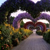 Image 14: Dubai Miracle Garden + Butterfly Garden Combo Tickets (For 1, 2, or 4)