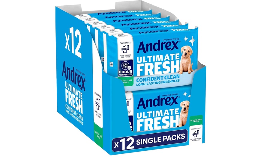 Image 17: Andrex Washlets Confident Clean Biodegradable & Flushable Toilet Wipes