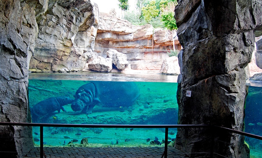 Image 8: ¡Descubre la selva en Valencia! Entrada para adulto o niño en Bioparc