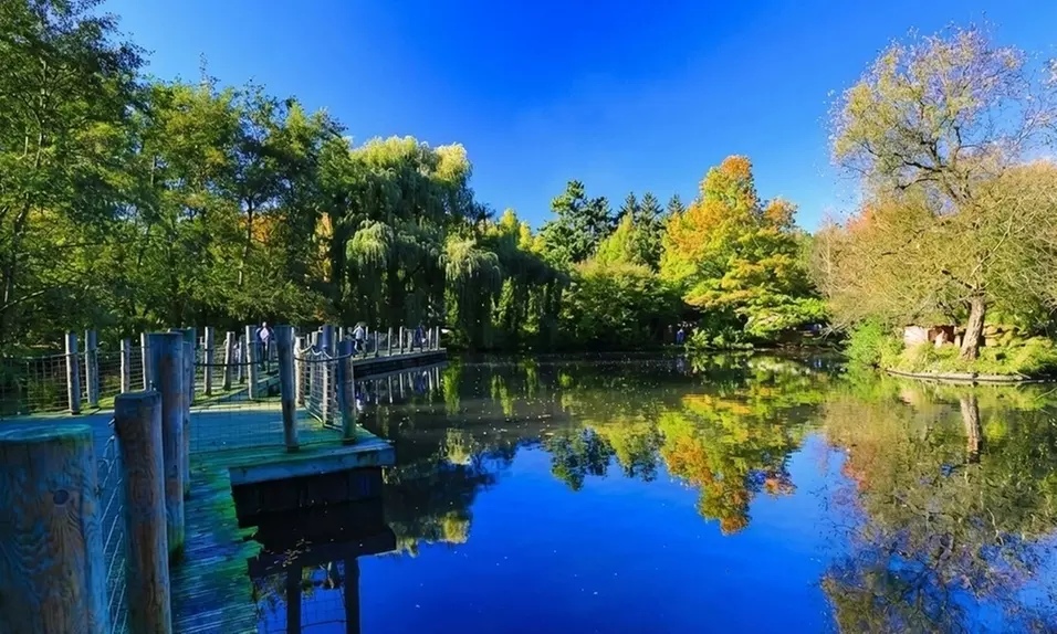 Proche Mulhouse : chambre double avec petit-déjeuner et menu en option