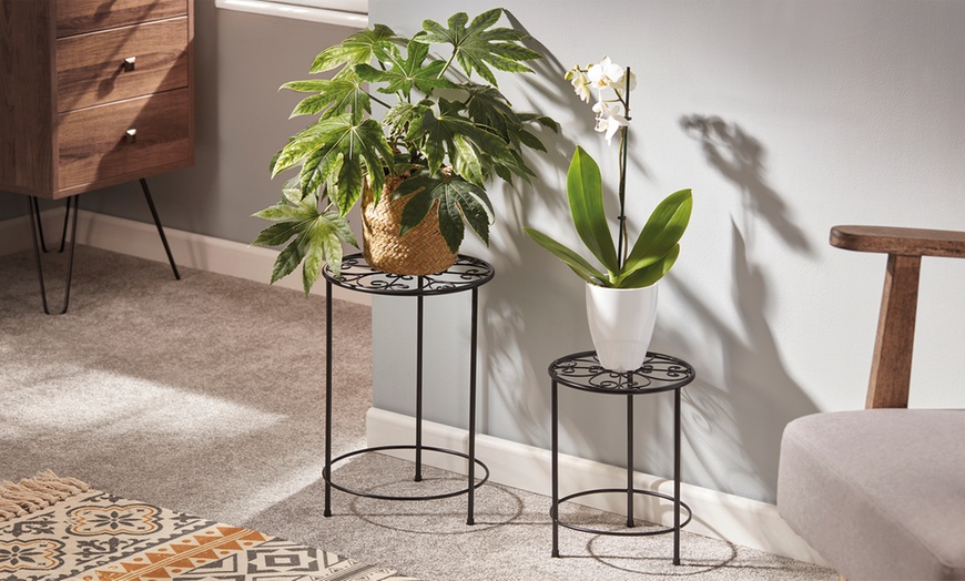 Image 1: Set of Two Metal Flower Stands