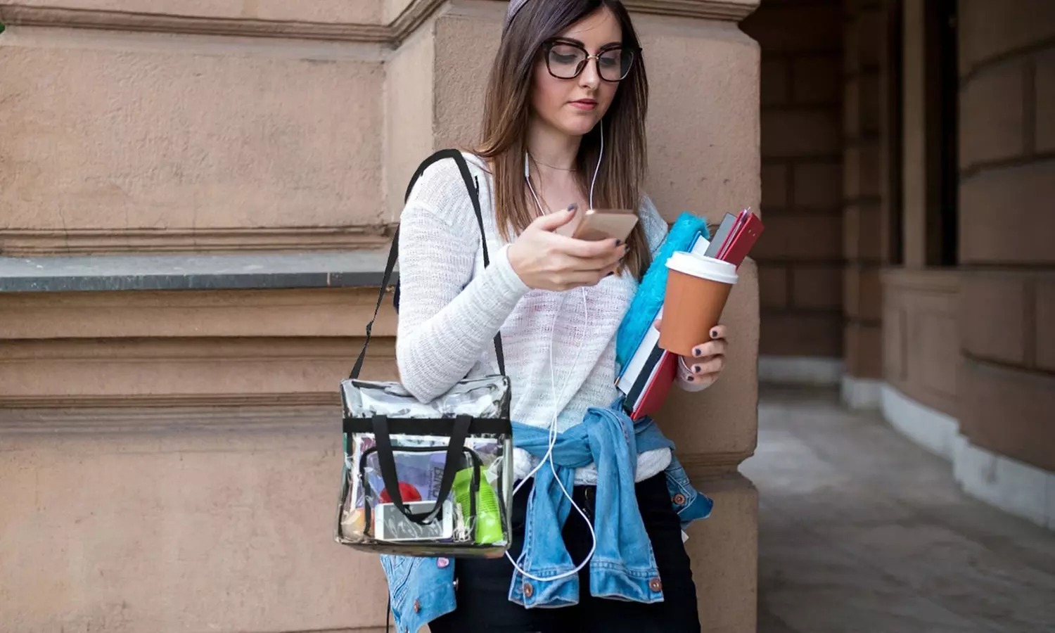 N'POLAR Stadium Approved Clear Bag See-Through Transparent Bags (Multi-Options)