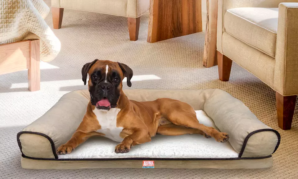 Animal Planet Orthopedic Memory-Foam Sofa-Style Dog Bed - Primary Image