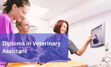 Diploma in Veterinary Assistant - Training Station