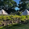 Image 1: Luxury Bell Tent Stay with Bedding and Cooking Facilities in Suffolk