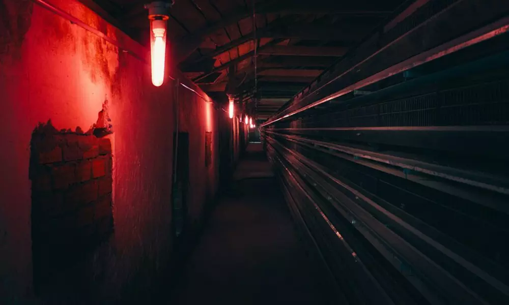 Blackout Experience: A Game in the Dark for Two, Three, or Four