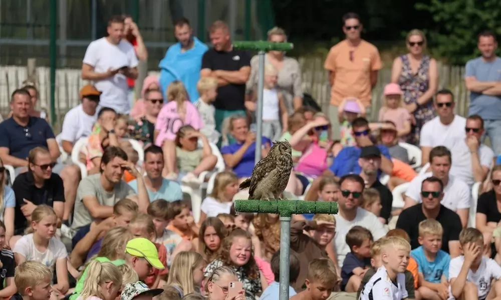 Interactieve roofvogelworkshop bij Settels Roofvogels