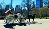 Central Park Horse Carrot Feeding, Express, or VIP Carriage Rides with Photos & Videos (Up To 17% Off)