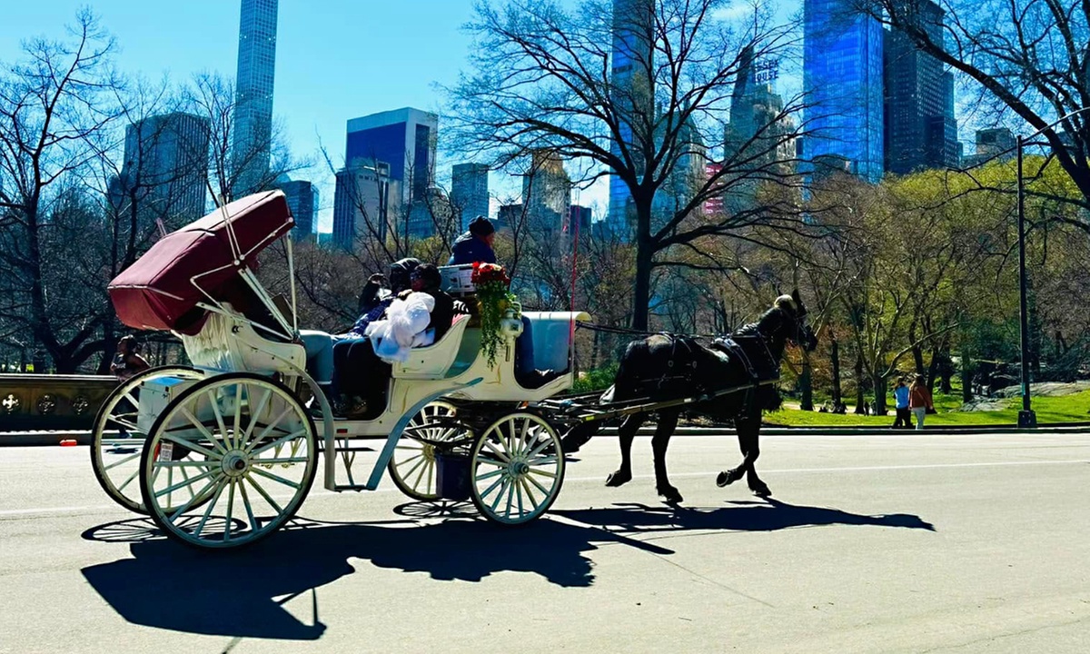 Central Park Horse Carrot Feeding, Express, or VIP Carriage Rides
