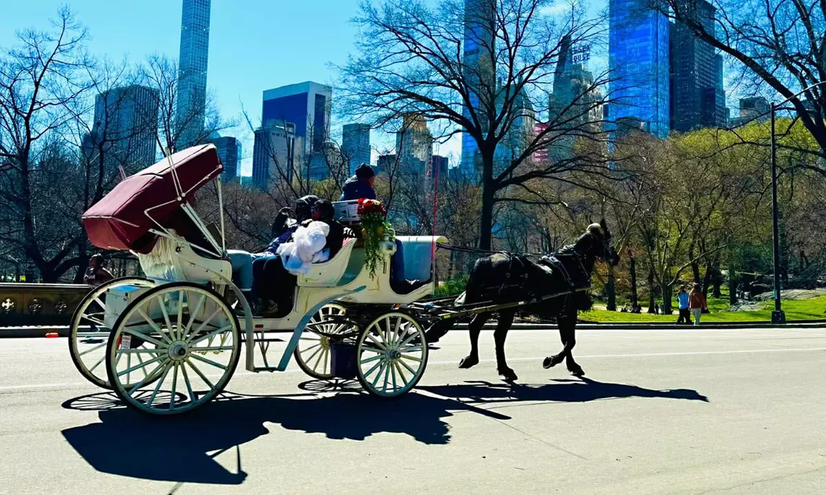 Central Park Horse Carrot Feeding, Express, or VIP Carriage Rides