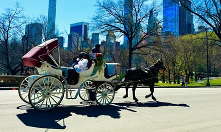25-Minute Express Central Park Carriage Ride - NYC Horse Carriage Services