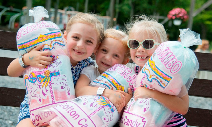 Image 4: All-Day Fun Pass at DelGrosso's Park - Rides & Water Park Admission!