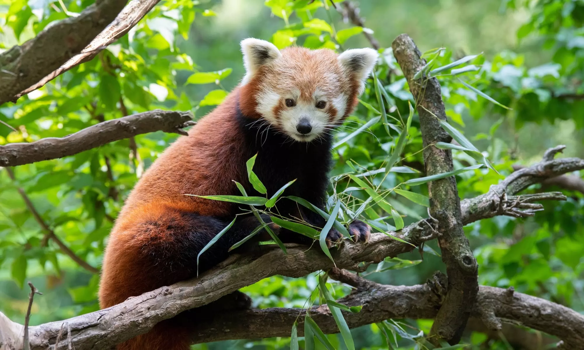 Admission for One Child or Adult to Central Park Zoo