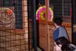 Experience Thrilling & Challenging One-Hour Axe Throwing For Up to Four People At Tossin Axes (Up to 23% Off) - Second Medium
