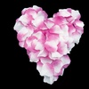 Image 18: 1000-5000pcs Various Colors Silk Flower Rose Petals Wedding Party Decorations