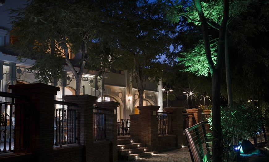 Image 4: Entrada nocturna a Bioparc Fuengirola con cena para niño o adulto