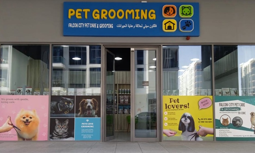 Image 10: Grooming Session with Haircut at Falcon City Pet Care & Grooming