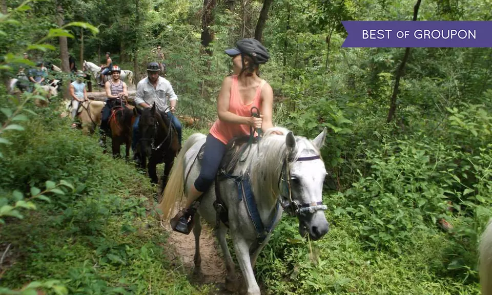 Trail-Ride Experience for Two, Four, or Six at Cypress Trails Equestrian Center (Up to 40% Off) - Primary Image