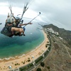 Image 3: Vuelo en parapente para 1 persona