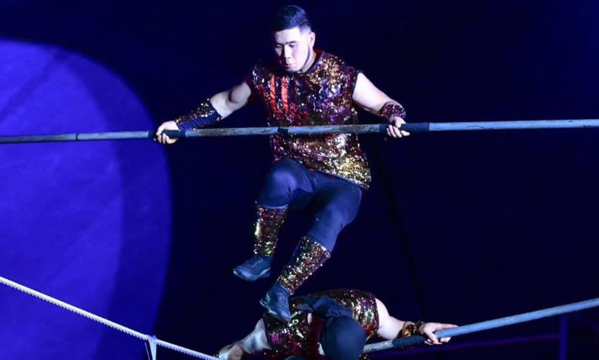 Image 4: Unforgettable Fun with One Child or Adult Ticket to John Lawson Circus