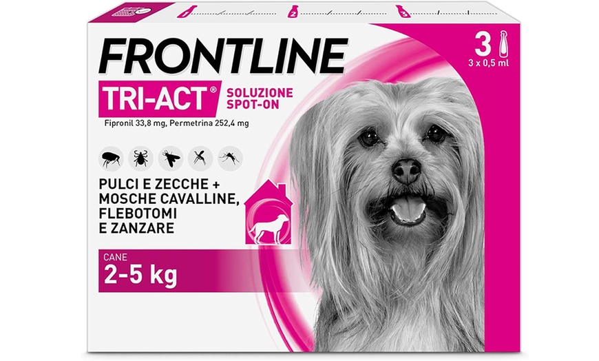 Image 22: Fino a 12 pipette Frontline Tri-Act® Spot-on per cani