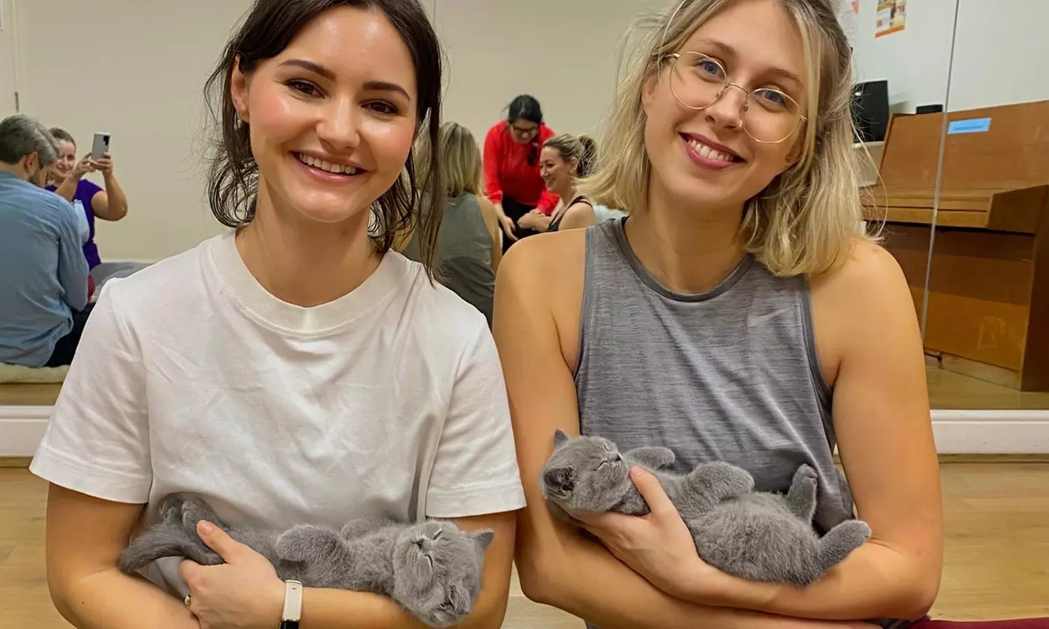 Find Your Zen: Yoga Classes With Adorable Kittens in London
