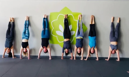 Five Pilates Class - Hapa Yoga & Fitness Yoga - San Diego