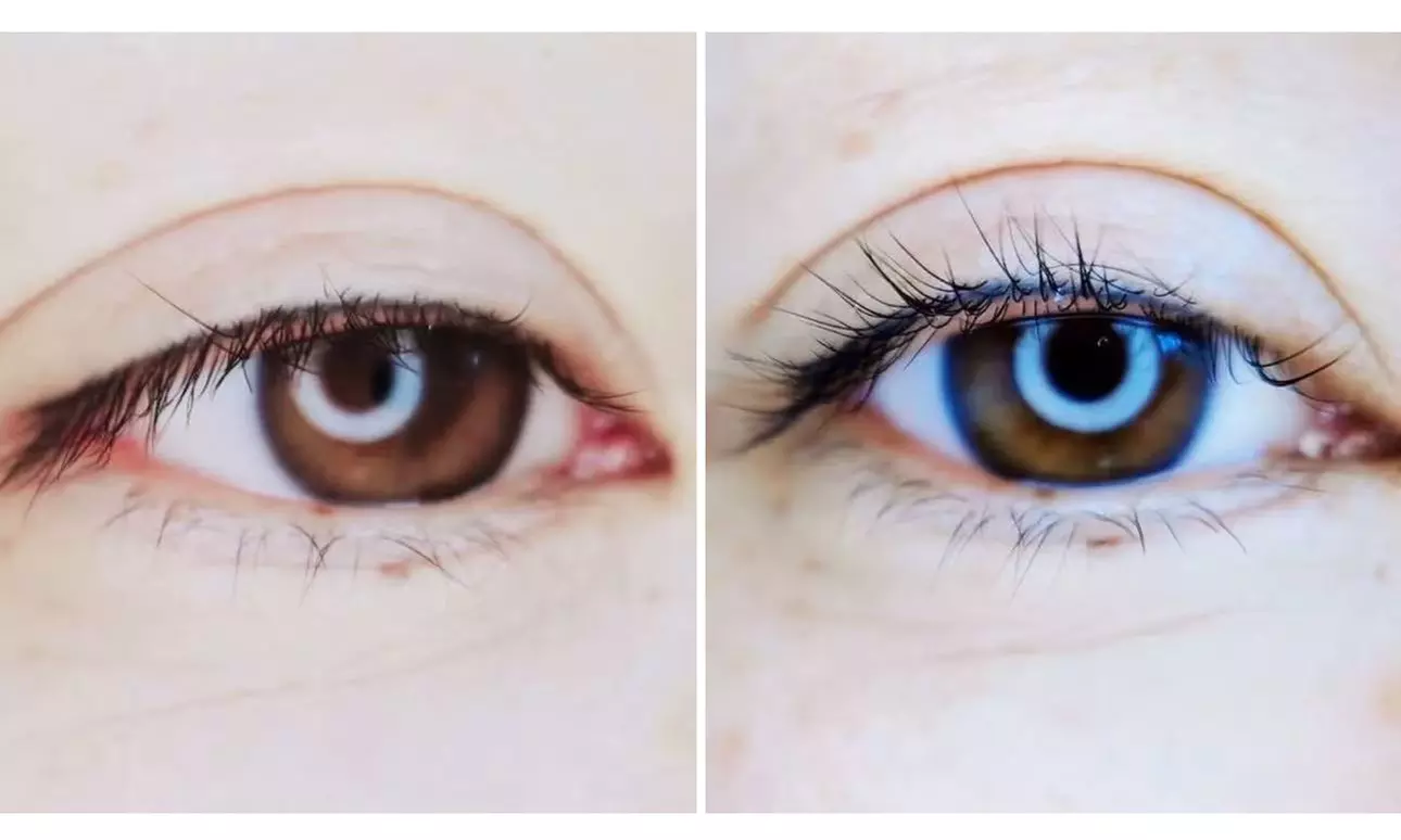 Wimpern- oder Augenbrauen-Treatment nach Wahl für 1 Person