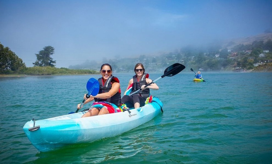 Image 3: Russian River Kayak Tour for Adults and Children 