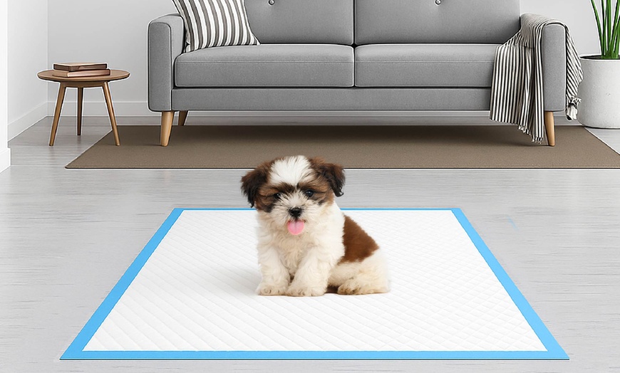 Image 1: Fino 200 tappetini assorbenti per cani e gatti