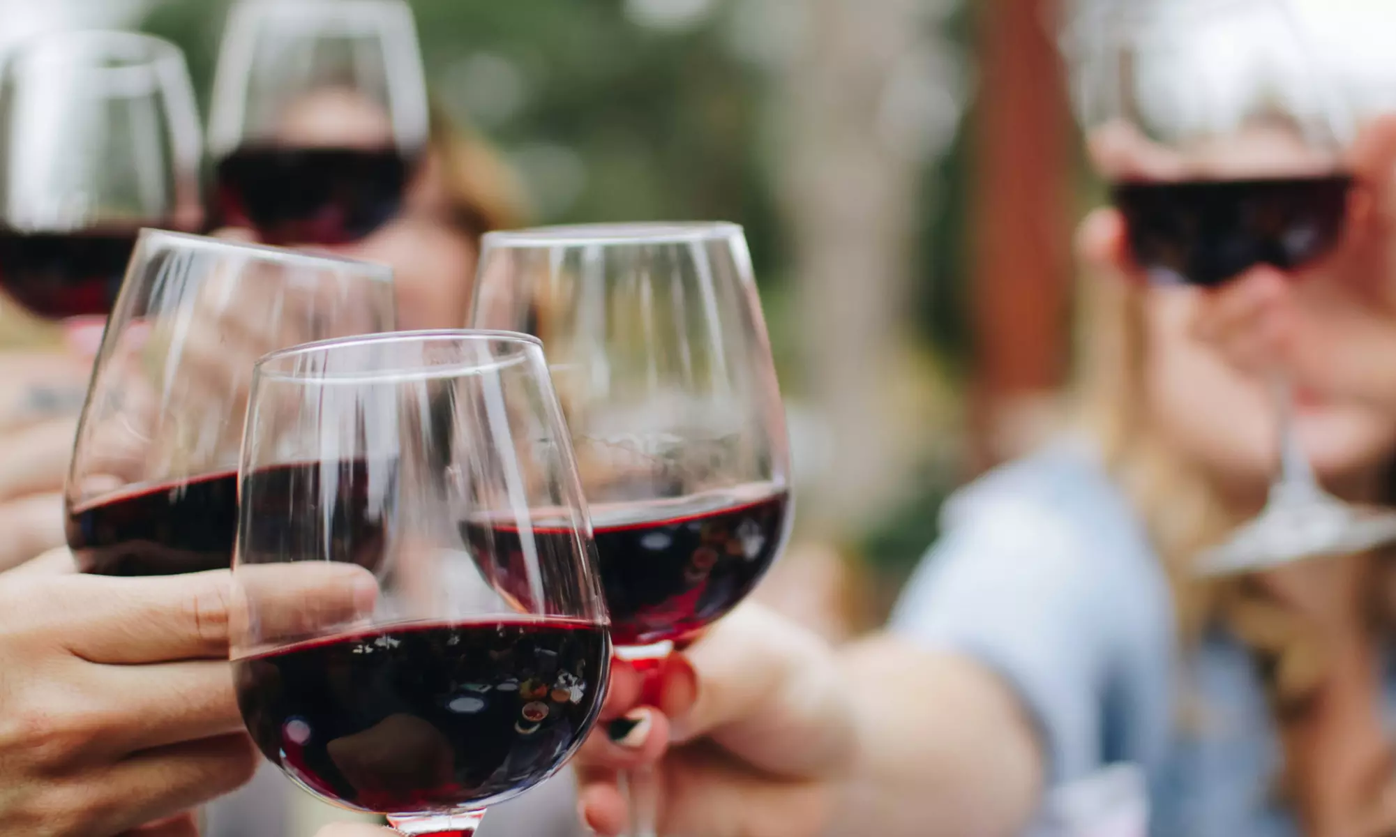 Cameron Hughes Wines — Mixed, Red, or White 12 Pack — Shipping Included