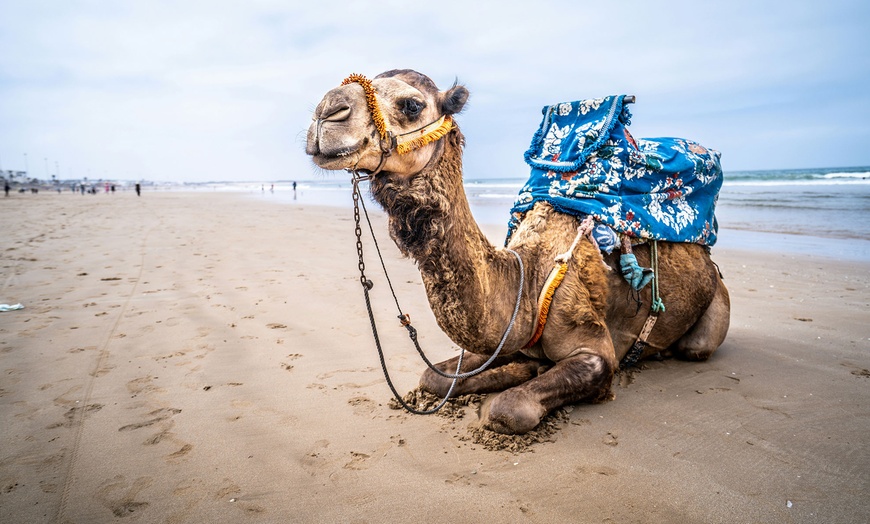 Image 2: ✈ Agadir: 3, 4 o 7 noches con vuelos, excursiones y desayuno