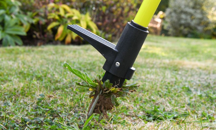 Image 8: Garden Gear Weed Removal Tools - Scraper - Puller - Burner