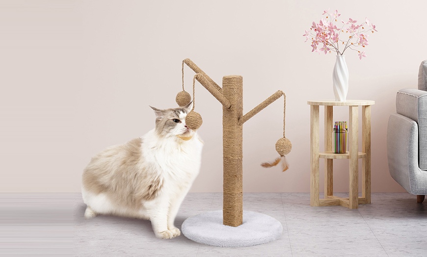 Image 41: Griffoir pour chat
