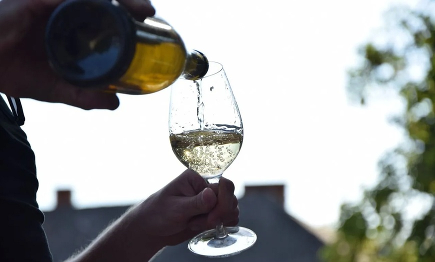 Image 2: 2 o. 4 Personen: Wine Tasting und Lehrgang – Auf dem Weg zum Weinprofi