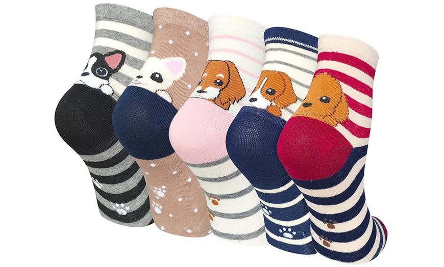 Image 5: 1, 5 ou 10 paires de chaussettes colorées à motifs chiens