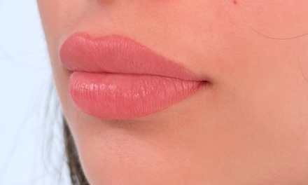 One Lip Blush Session - The Blush House